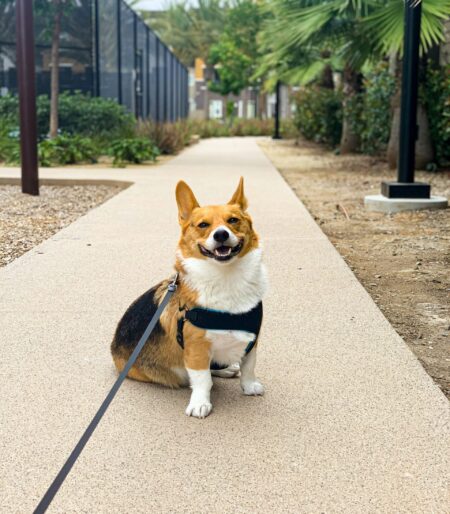 d4155c573a655ac58b96f6abb09a9464