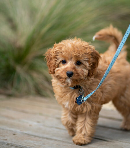 e19af01f0e37f6c6949cc61e8a16197e