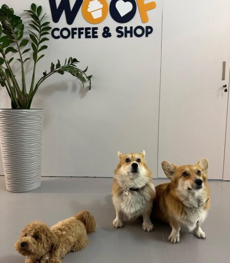 447551690_415874998083625_6798823801732714674_n