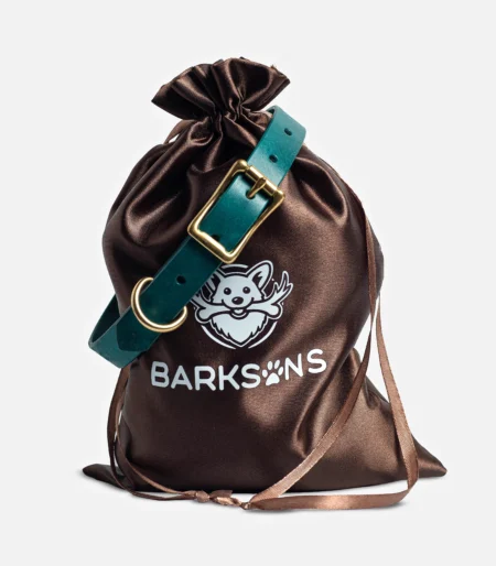 Шкіряний нашийник Turkey Blue