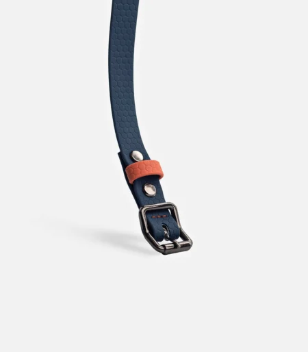 _dog_collar_8_adge_1 copy 2 копия