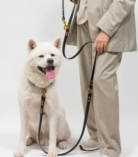 e3f93ee646901b9acdb763906e4cdafe