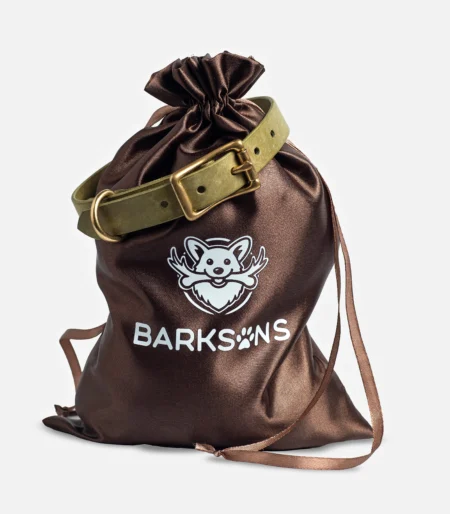 Шкіряний нашийник Salvia