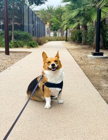 d4155c573a655ac58b96f6abb09a9464