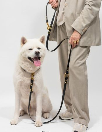 e3f93ee646901b9acdb763906e4cdafe