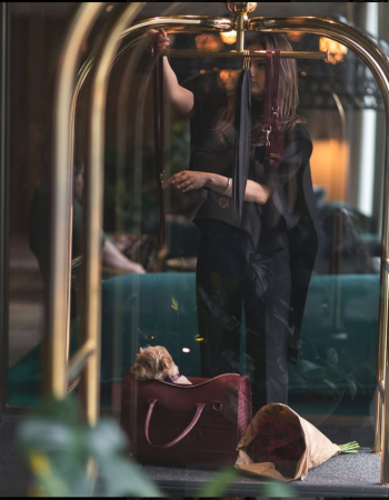 e9b0b5a2db2de5f26860562c6ee9d30a