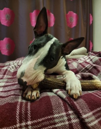 photo_2025-04-09_15-07-19